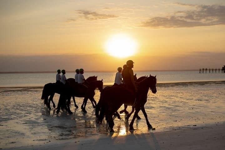 Horseback Riding on Zanzibar Beaches: Ocean Rides & Coastal Culture photo 2
