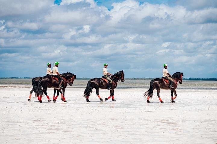 Horseback Riding on Zanzibar Beaches: Ocean Rides & Coastal Culture photo 3