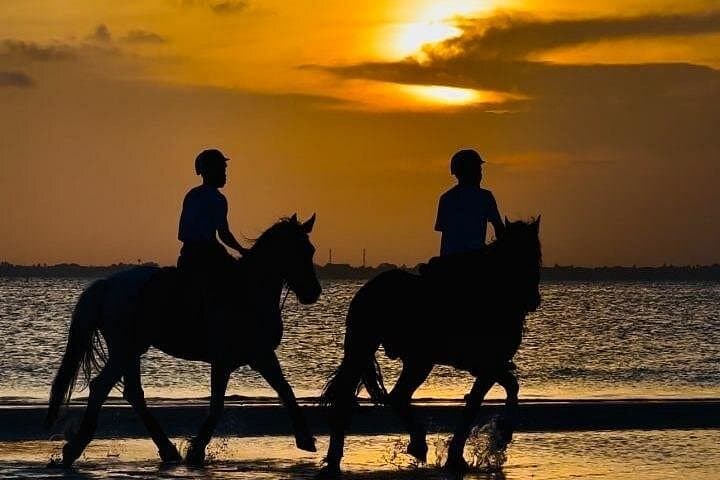 Horseback Riding on Zanzibar Beaches: Ocean Rides & Coastal Culture photo 4
