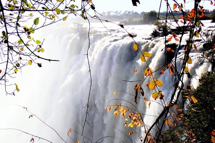 Walking Victoria Falls: Private Guided Tour on Zambia's Side photo 6