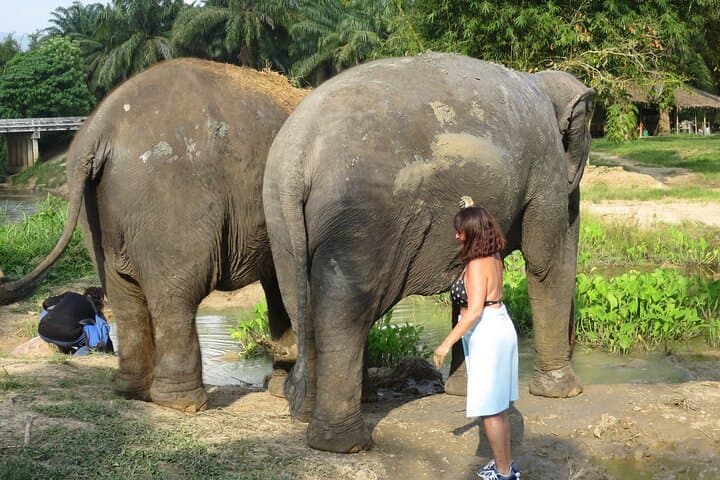 Krabi Elephant Sanctuary & Emerald Pool — Responsible Wildlife Encounter and Tropical Swim photo 2