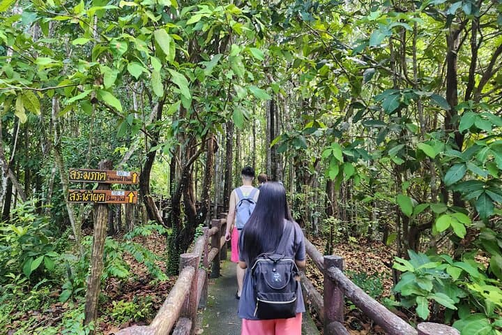 Krabi Elephant Sanctuary & Emerald Pool — Responsible Wildlife Encounter and Tropical Swim photo 5