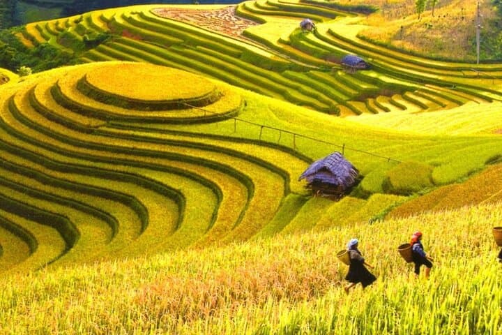 Mai Chau Day Tour from Hanoi — Cycling Stilt Houses & Rice Valley Trek photo 2