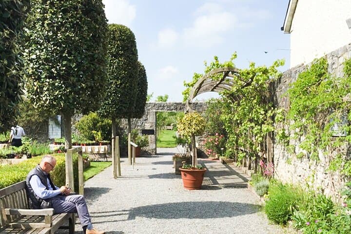 Kilkenny City Game — Shenanigans Medieval Adventure Walking Tour & Riddle Trail photo 2