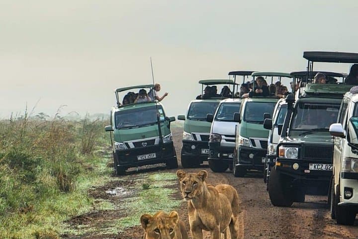 Half-Day Nairobi National Park Safari — City-Edge Game Drive photo 1