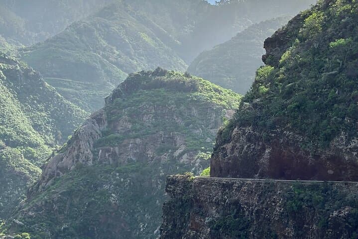 Anaga Hidden Gems: Half-Day Hiking Tour through Tenerife’s Laurel Forests photo 2