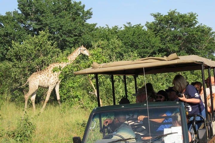 Guided Game Drive and Rhino Walk at Mosi-Oa-Tunya National Park photo 2