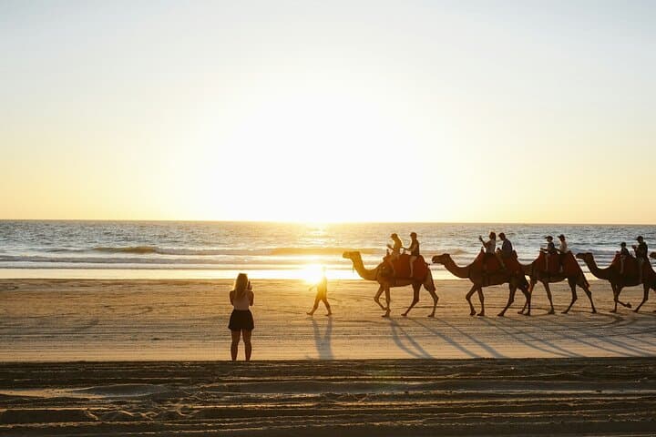 Cabo Combo: E-Bike Coastal Ride, Camel Beach Experience & Lunch at Tierra Sagrada