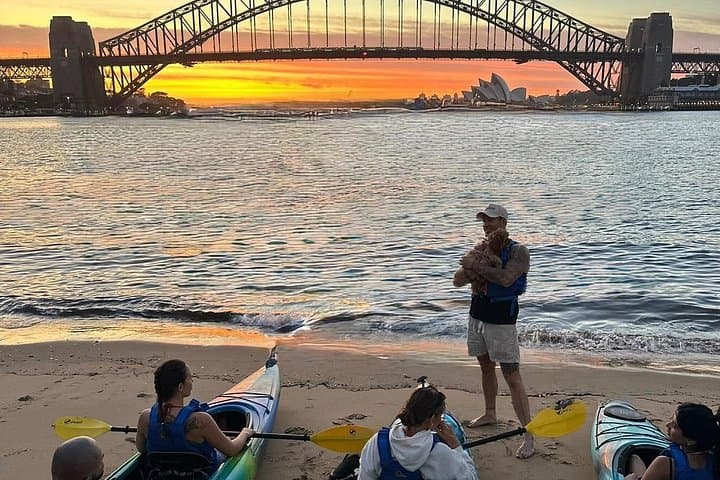 Sunset Harbour Bridge Kayak Escape: Paddle Sydney’s Iconic Skyline at Golden Hour photo 4