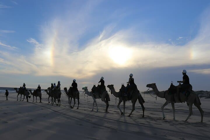 Cabo Combo: E-Bike Coastal Ride, Camel Beach Experience & Lunch at Tierra Sagrada photo 2