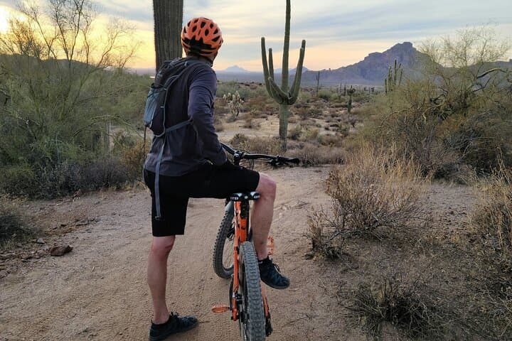 Cabo Combo: E-Bike Coastal Ride, Camel Beach Experience & Lunch at Tierra Sagrada photo 3