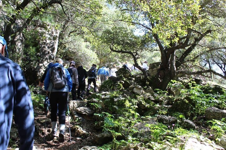 Wild Jordan: 8-Day Canyoning, Hiking & Cultural Route from Amman to Wadi Rum photo 3