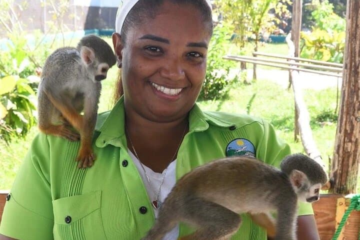 Amber Cove Monkey Encounter: Squirrel Monkey Sanctuary Tour from Puerto Plata