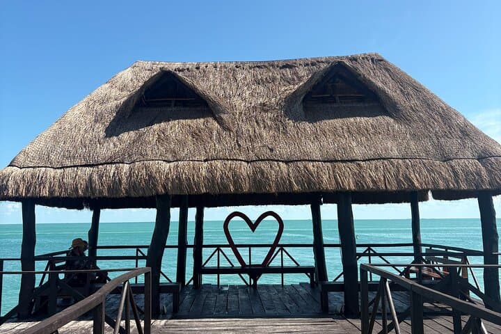 Private Dolphin Watching & Sandbank Tour from Isla Aguada, Campeche