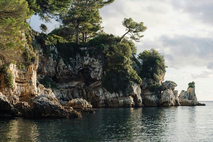 Private Provencal Wine-Tasting & French Riviera Day Tour from Nice photo 6