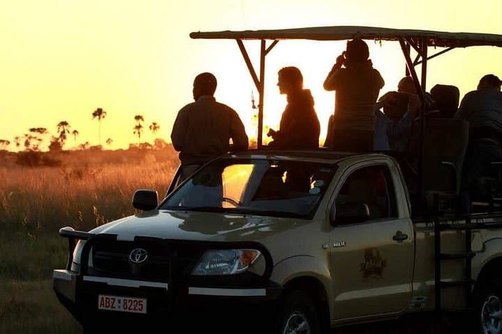 Stanley & Livingstone Big 5 Safari: Morning Game Drive from Livingstone photo 3