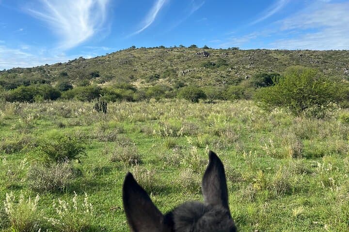 Exclusive All-Inclusive Horseback Expedition in Córdoba — Luxury Estancia Ride
