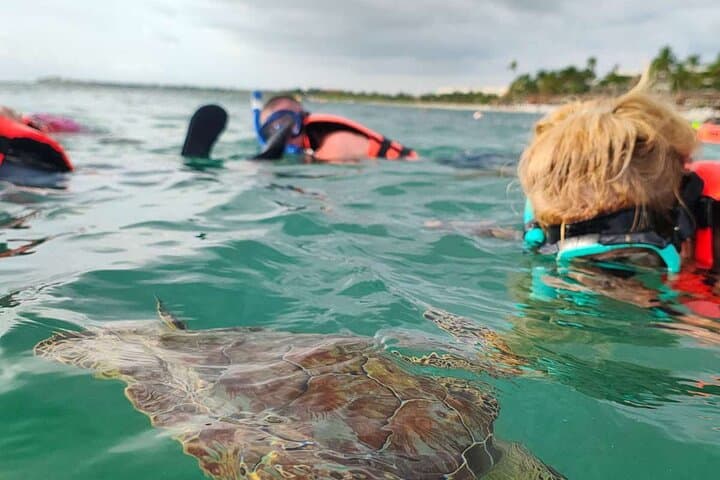 Akumal Cenote & Turtle Snorkel Private Tour — Swim Cenotes and Sea Turtles photo 2
