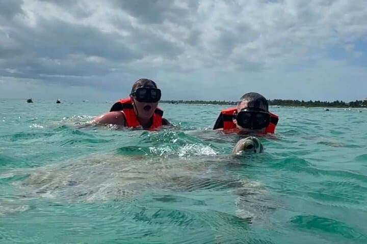 Akumal Cenote & Turtle Snorkel Private Tour — Swim Cenotes and Sea Turtles photo 4
