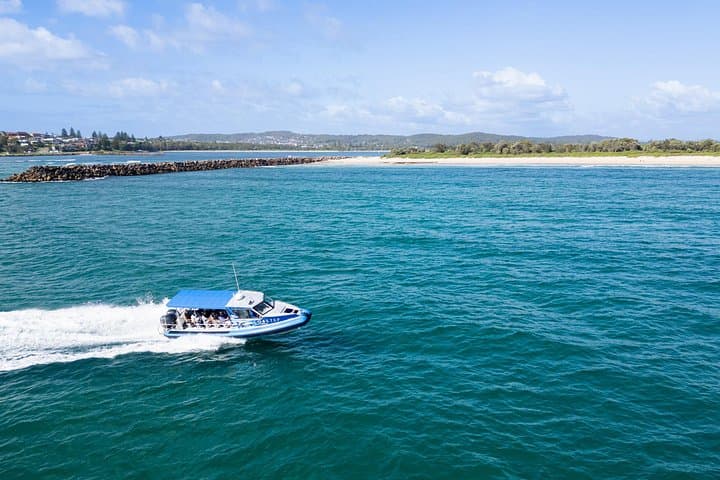 Ocean Explorer Tour from Lake Macquarie: Swansea Channel Boat Adventure