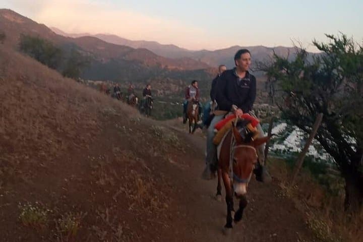 Andes Horseback Ride from Santiago: Scenic Half-Day with Hotel Pickup photo 3
