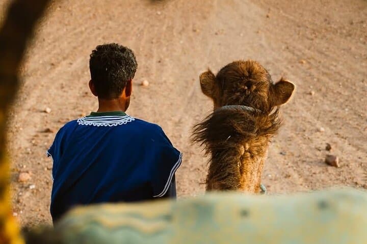 Agafay Desert Camel Ride, Sunset Dinner & Fire Show from Marrakech photo 2