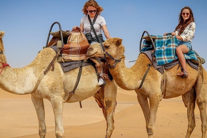 Agafay Desert Camel Ride, Sunset Dinner & Fire Show from Marrakech photo 4