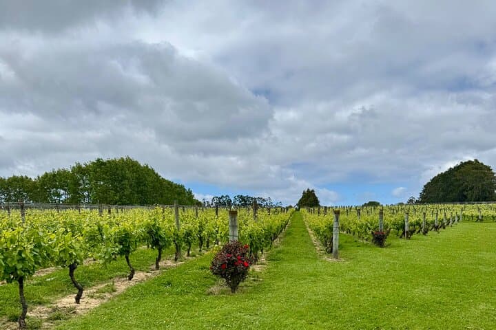 Kumeu Wineries & Hallertau Brewery Day Tour from Auckland photo 5