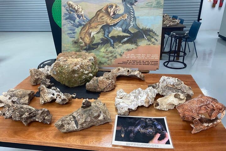 Explore the Cradle of Humankind: Sterkfontein Caves & Maropeng Visitor Centre photo 3