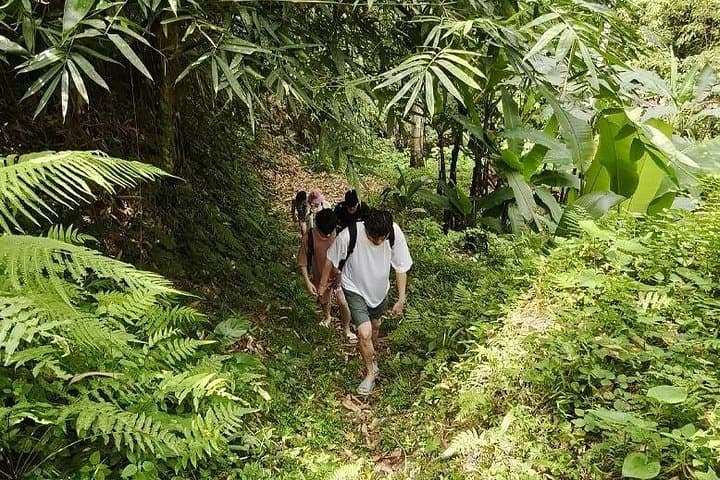 Authentic Bali Rural Trekking Adventure: Pura Dalem to Geduh Lake photo 3
