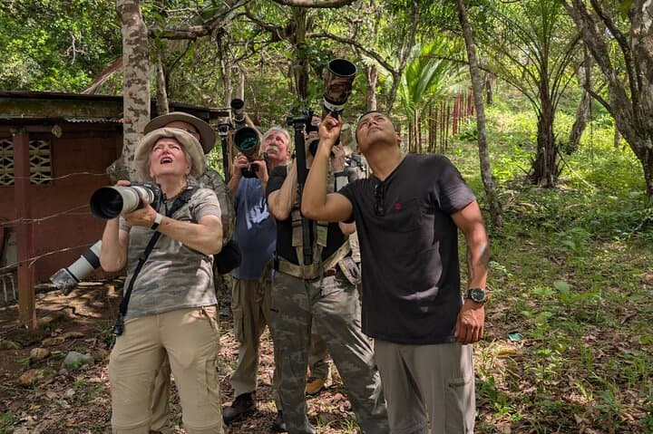 Monteverde Private Bird Photography Tour — Resplendent Quetzal & Hummingbirds
