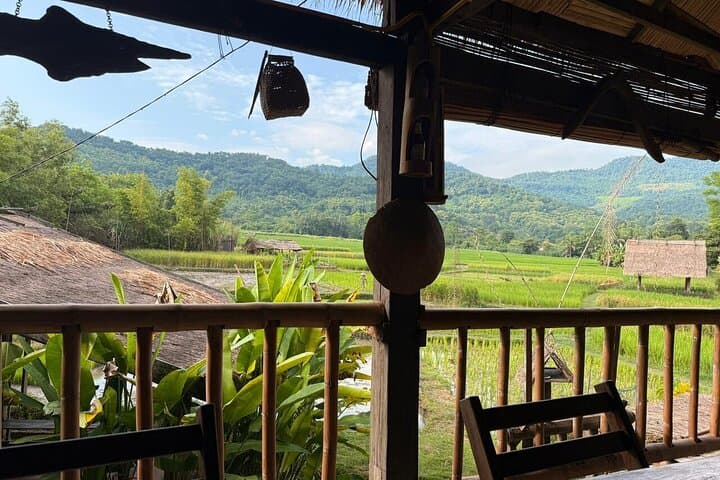 Hands-On Rice Farming & Lao Village Experience — Half-Day in Luang Prabang