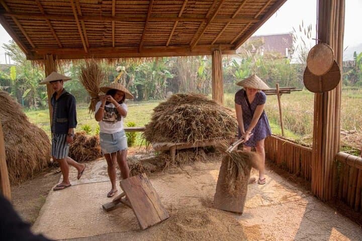 Hands-On Rice Farming & Lao Village Experience — Half-Day in Luang Prabang photo 2