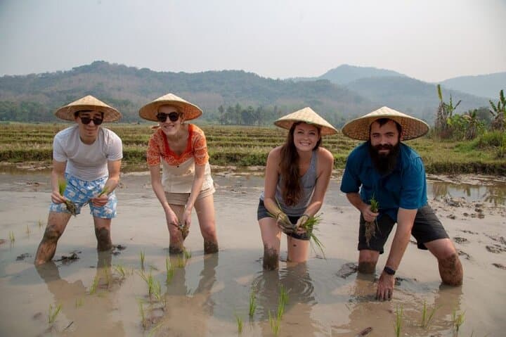 Hands-On Rice Farming & Lao Village Experience — Half-Day in Luang Prabang photo 3