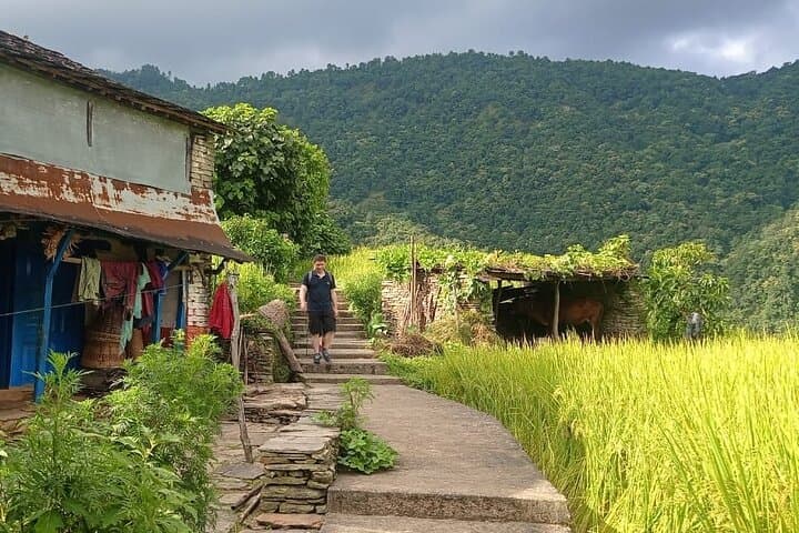 One-Day Hike to Australian Camp & Dhampus — Pokhara Ridge Views in a Day photo 5