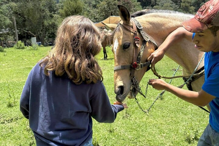 Horseback Riding in the Mountains with Cabin Breakfast near Mexico City photo 6