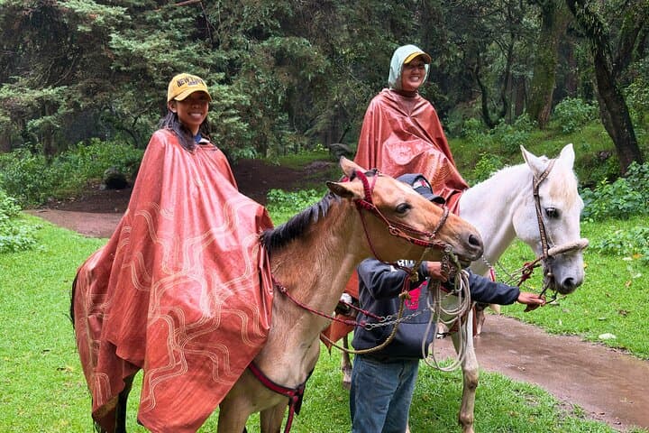 Horseback Riding in the Mountains with Cabin Breakfast near Mexico City photo 4