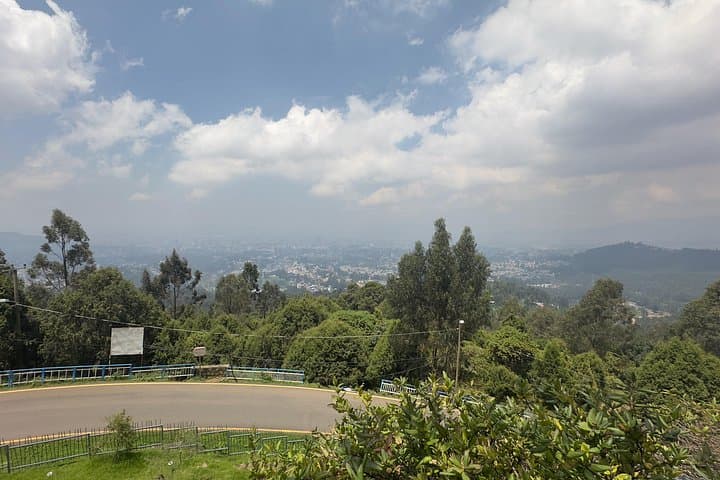 Addis Ababa Stopover Tour: Mount Entoto, Mercato, National Museum & Coffee photo 2