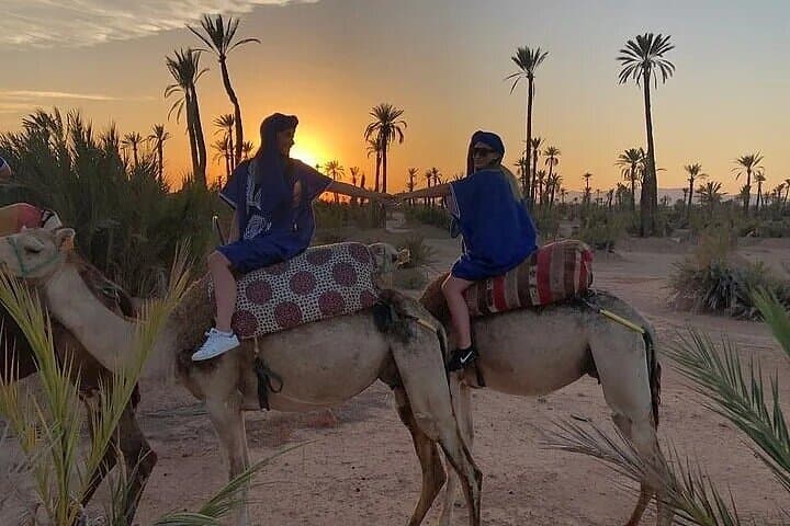 One-Hour Camel Ride in Palmeraie Grove — Marrakech Oasis Experience photo 6