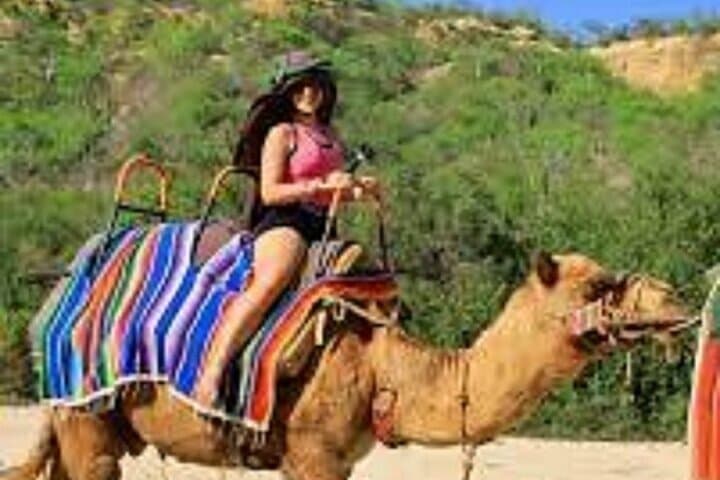 Slow Camel Ride through Marrakech’s Palmeraie Grove: 2-Hour Cultural Escape photo 4