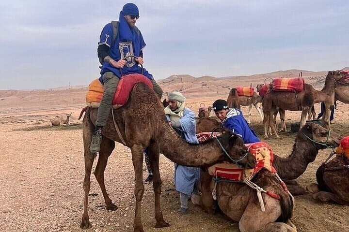 Palmeraie ATV & Camel Ride: Quad-Biking Through Marrakech’s Palm Desert photo 2