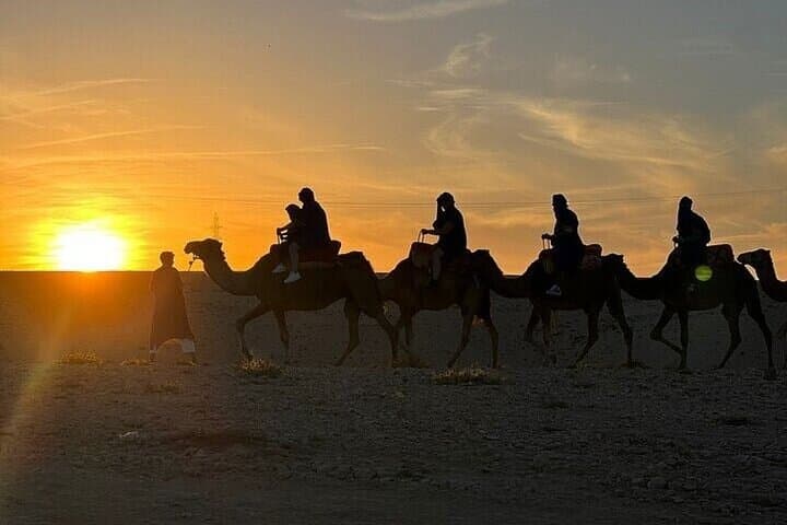 Palmeraie ATV & Camel Ride: Quad-Biking Through Marrakech’s Palm Desert photo 4