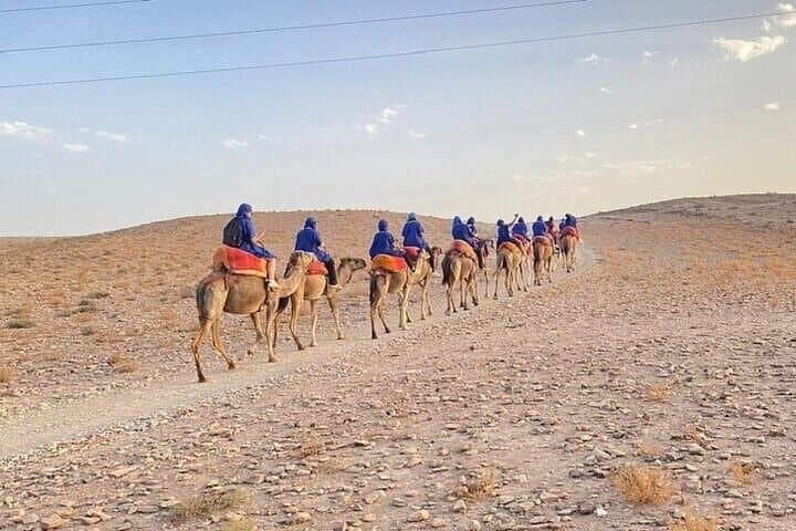 Palmeraie ATV & Camel Ride: Quad-Biking Through Marrakech’s Palm Desert photo 6