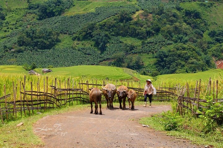 Sapa Easy Rider: 2-Day Scenic Motorbike Adventure Through Vietnam Highlands photo 4