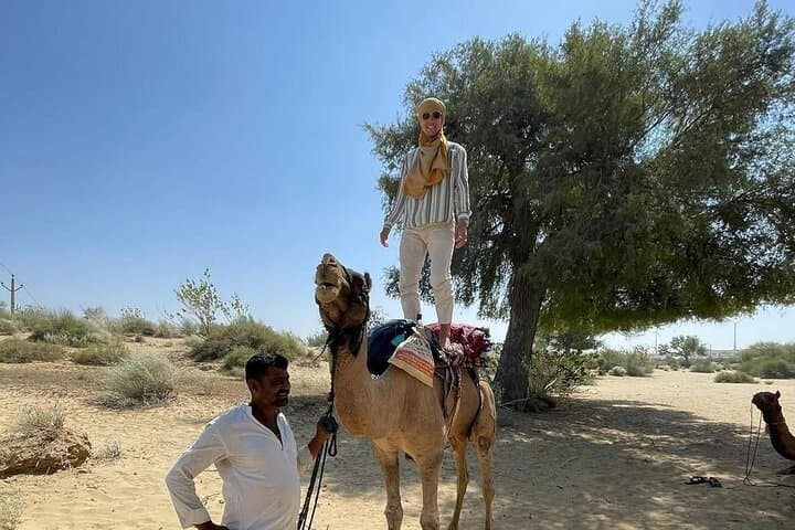 Overnight Thar Desert Camel Safari from Jaisalmer — Sunset Dunes & Starry Camp