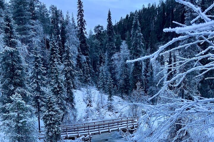 Korouoma Canyon Winter Hike: Explore Lapland's Icefalls from Rovaniemi photo 3