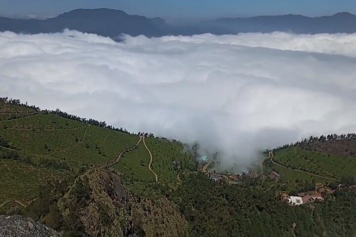 Munnar Day Trip from Kochi: Tea Gardens, Waterfalls & Mattupetty Dam photo 2