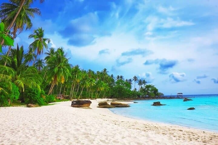Phu Quoc Island Speedboat Adventure & Authentic Island Barbecue