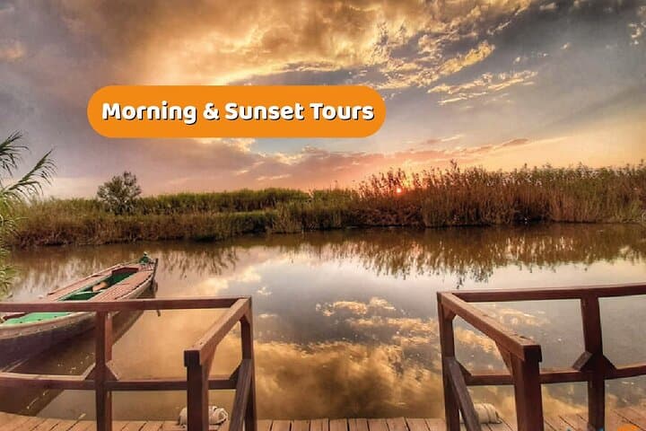 Albufera Natural Park Boat Tour: Barraca Visit, Electric Boat & Birdwatching from Valencia photo 3
