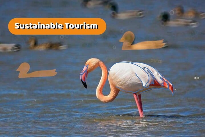Albufera Natural Park Boat Tour: Barraca Visit, Electric Boat & Birdwatching from Valencia photo 2